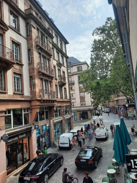 Appartement 4 pièces à vendre à Strasbourg La Petite France Appartement-4-Pieces-Strasbourg-Petite-France-8-1-scaled