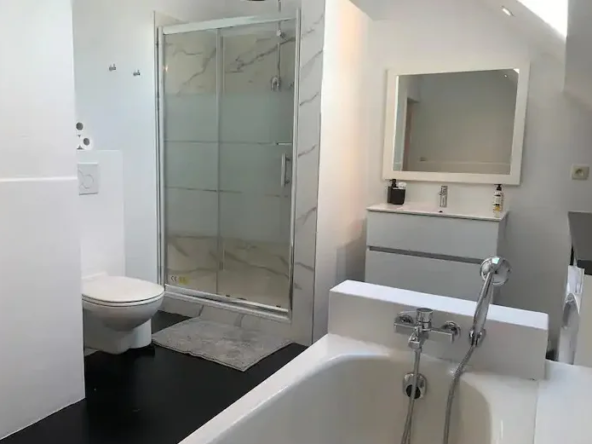 Duplex 3 pièces à vendre à Strasbourg Contades duplex-3-pieces-strasbourg-contades-6