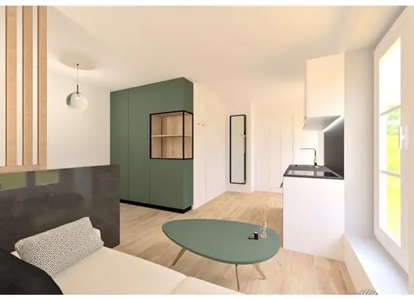 Studio à vendre à Strasbourg La Petite France studio-a-strasbourg-la-petite-france-10