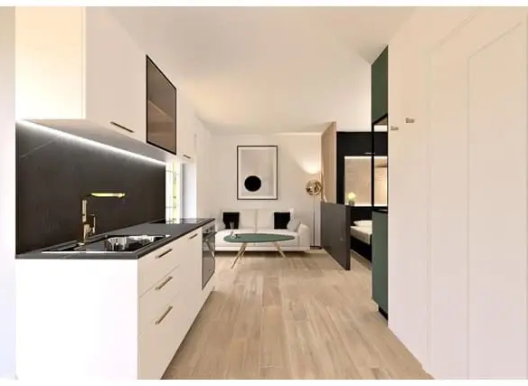 Studio à vendre à Strasbourg La Petite France studio-a-strasbourg-la-petite-france-10